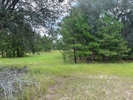 Metter, GA 30439 Candler County