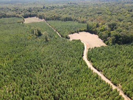 Lizella, GA 31052 Bibb County