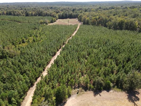 Lizella, GA 31052 Bibb County