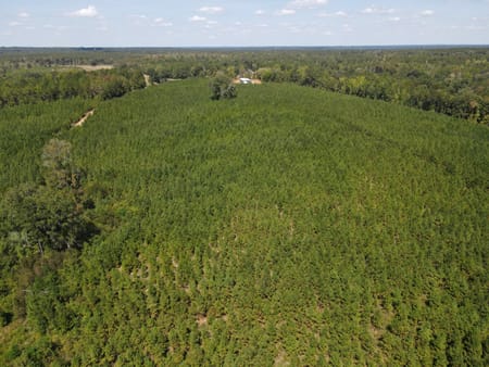 Lizella, GA 31052 Bibb County