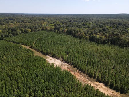Lizella, GA 31052 Bibb County