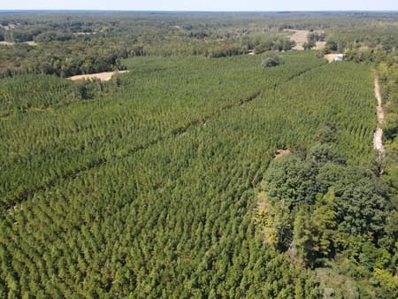 Lizella, GA 31052 Bibb County