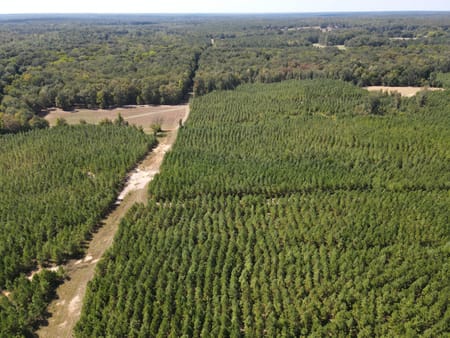 Lizella, GA 31052 Bibb County