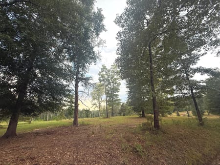 Covington, GA 30016 Newton County