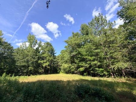 Greensboro, GA 30642 Greene County