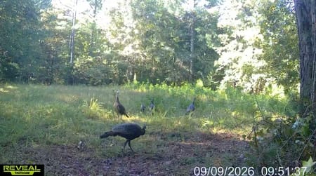 Greensboro, GA 30642 Greene County