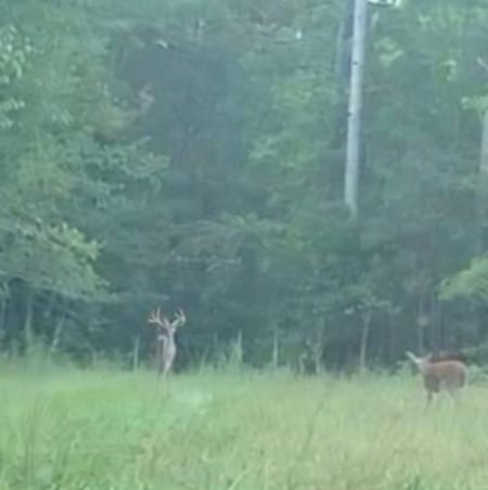 Greensboro, GA 30642 Greene County