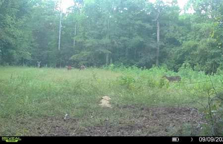 Greensboro, GA 30642 Greene County