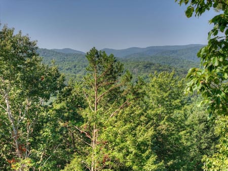 Cherry Log, GA 30522 Fannin County