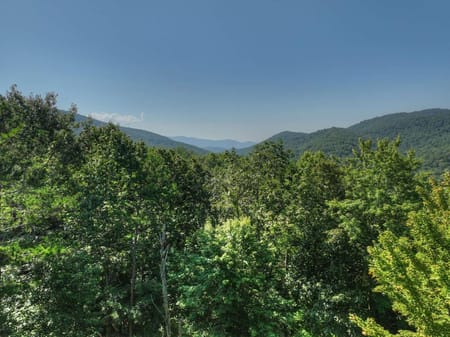 Cherry Log, GA 30522 Fannin County