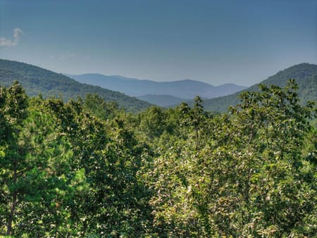 Cherry Log, GA 30522 Fannin County