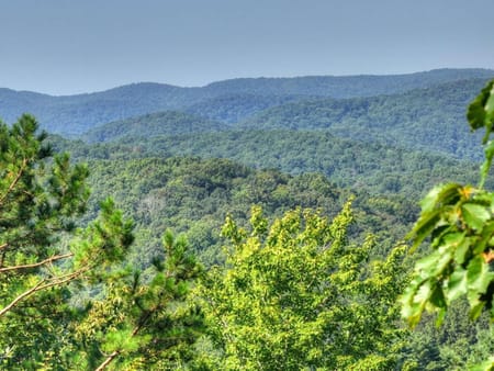 Cherry Log, GA 30522 Fannin County