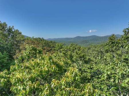 Cherry Log, GA 30522 Fannin County