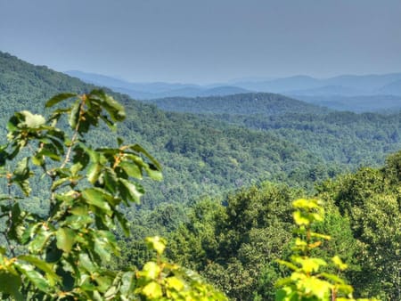 Cherry Log, GA 30522 Fannin County