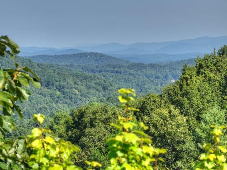 Cherry Log, GA 30522 Fannin County