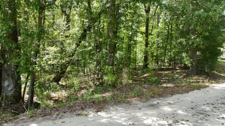 Warrenton, GA 30828 Warren County