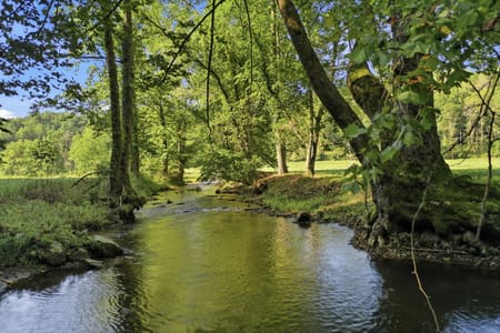 Suches, GA 30572 Union County