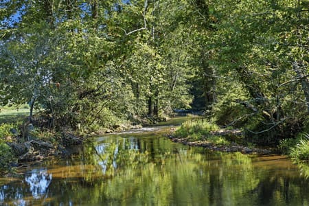 Suches, GA 30572 Union County