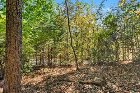 Big Canoe, GA 30143 Dawson County