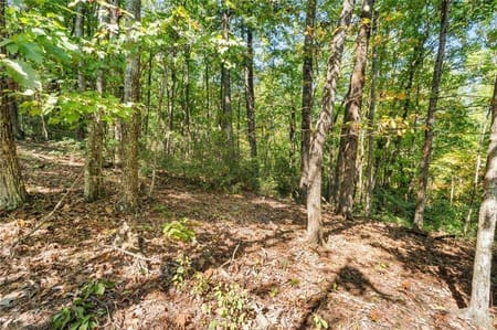 Big Canoe, GA 30143 Dawson County