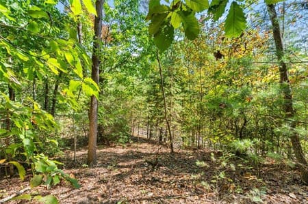 Big Canoe, GA 30143 Dawson County
