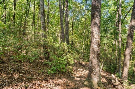 Big Canoe, GA 30143 Dawson County