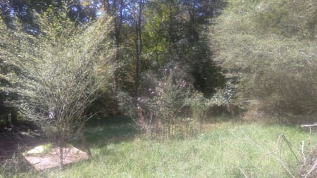 Dawsonville, GA 30534 Dawson County