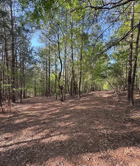 Louisville, GA 30434 Jefferson County