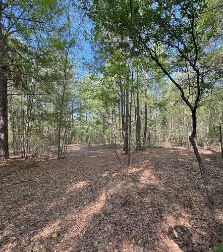 Louisville, GA 30434 Jefferson County