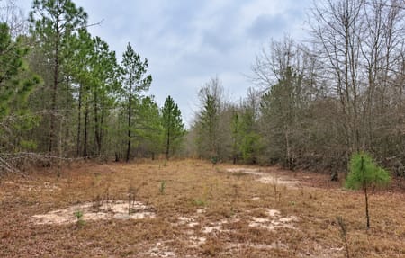 Swainsboro, GA 30401 Emanuel County