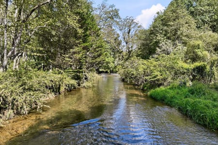 Suches, GA 30572 Union County