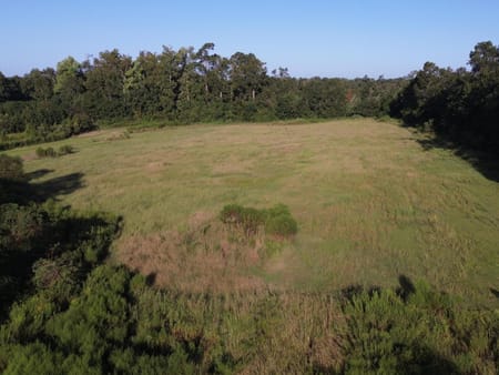 Sylvania, GA 30467 Screven County