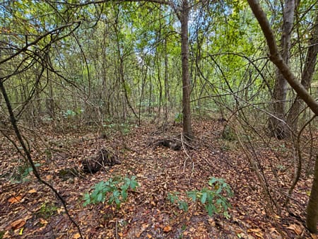 Hawkinsville, GA 31036 Pulaski County