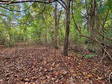 Hawkinsville, GA 31036 Pulaski County