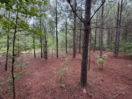 Rome, GA 30161 Floyd County