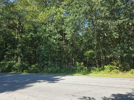 Palmetto, GA 30268 Fulton County