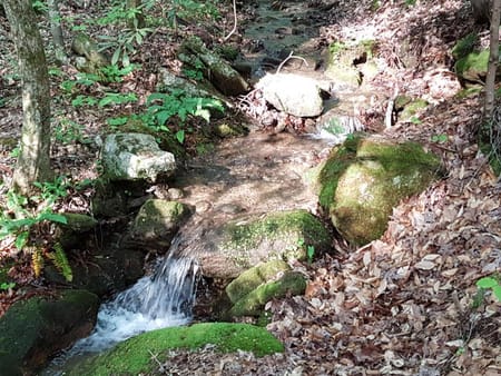 Tiger, GA 30576 Rabun County