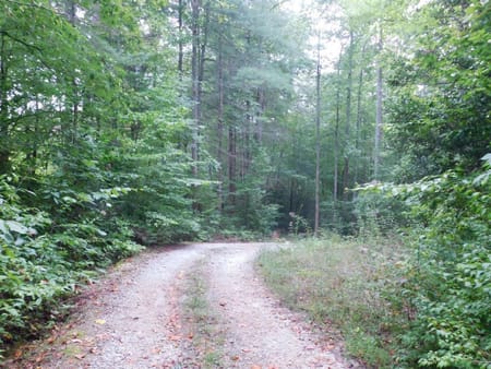 Tiger, GA 30576 Rabun County