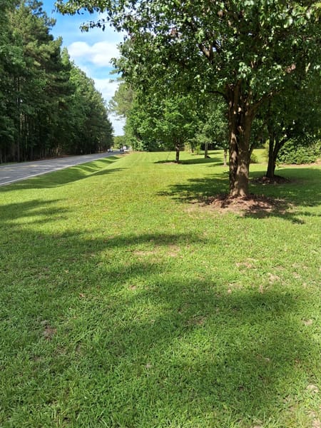 Forsyth, GA 31029 Monroe County