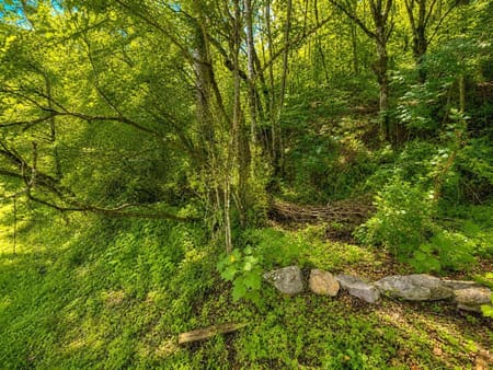 Ellijay, GA 30540 Gilmer County