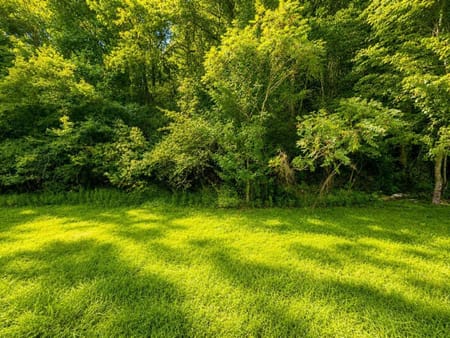 Ellijay, GA 30540 Gilmer County