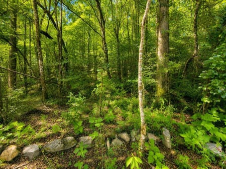 Ellijay, GA 30540 Gilmer County