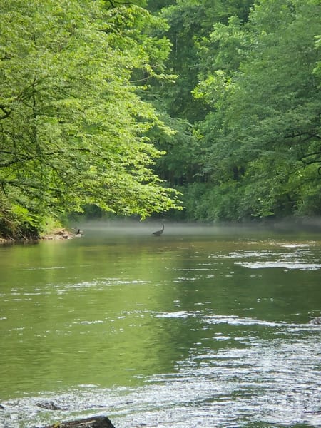 Clayton, GA 30525 Rabun County