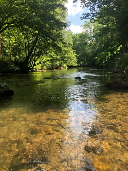 Clayton, GA 30525 Rabun County