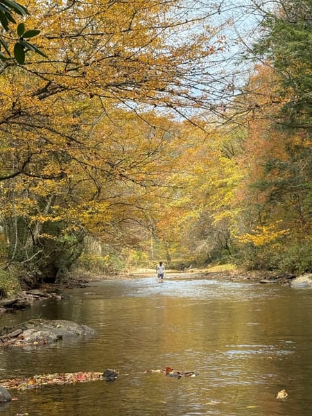 Clayton, GA 30525 Rabun County