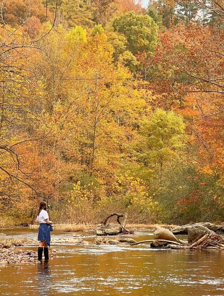 Clayton, GA 30525 Rabun County