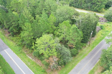 Homeland, GA 31537 Charlton County