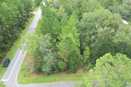 Homeland, GA 31537 Charlton County