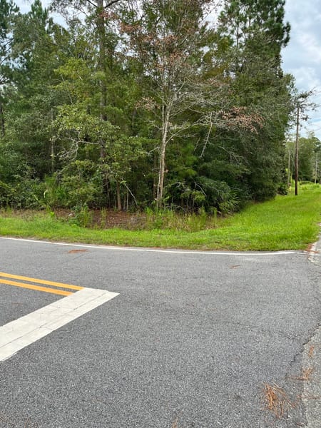 Homeland, GA 31537 Charlton County