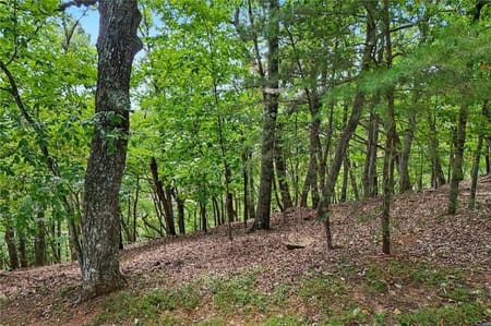 Big Canoe, GA 30143 Dawson County